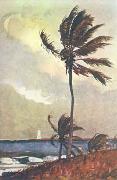 Winslow Homer Palm Tree, Nassau Germany oil painting reproduction